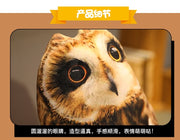 1pc Owl Plush Toy 50cm Sleeping Pillows Soft Stuffed Animals Eagle Cushion Sofa Decor Cartoon Bird Toys