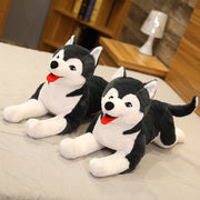 70cm Husky Dog Plush Toy Stuffed Animal Toys Soft Doll